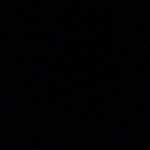 Meet your Posher, Cristeta